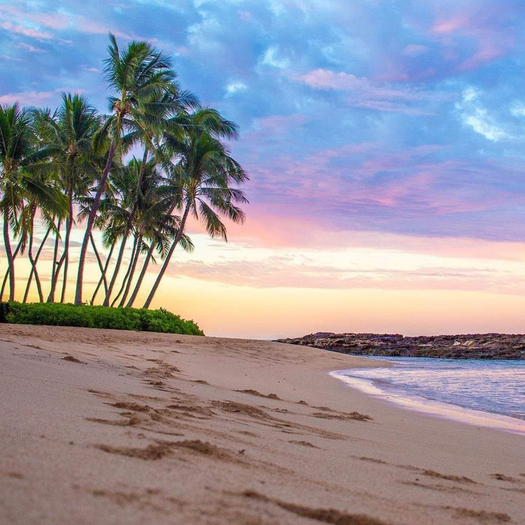 アルバムレビュー